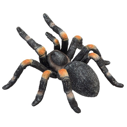 Mojo tarantula - mojo,
